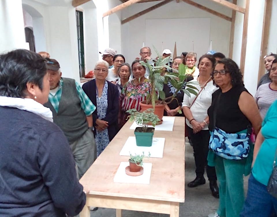 Jubilados CAMIP recorren el centro historico IGSS 2018-5
