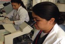 EL SEGURO SOCIAL REALIZA MÁS DE 10 MILLONES DE PRUEBAS DE LABORATORIO AL AÑO
