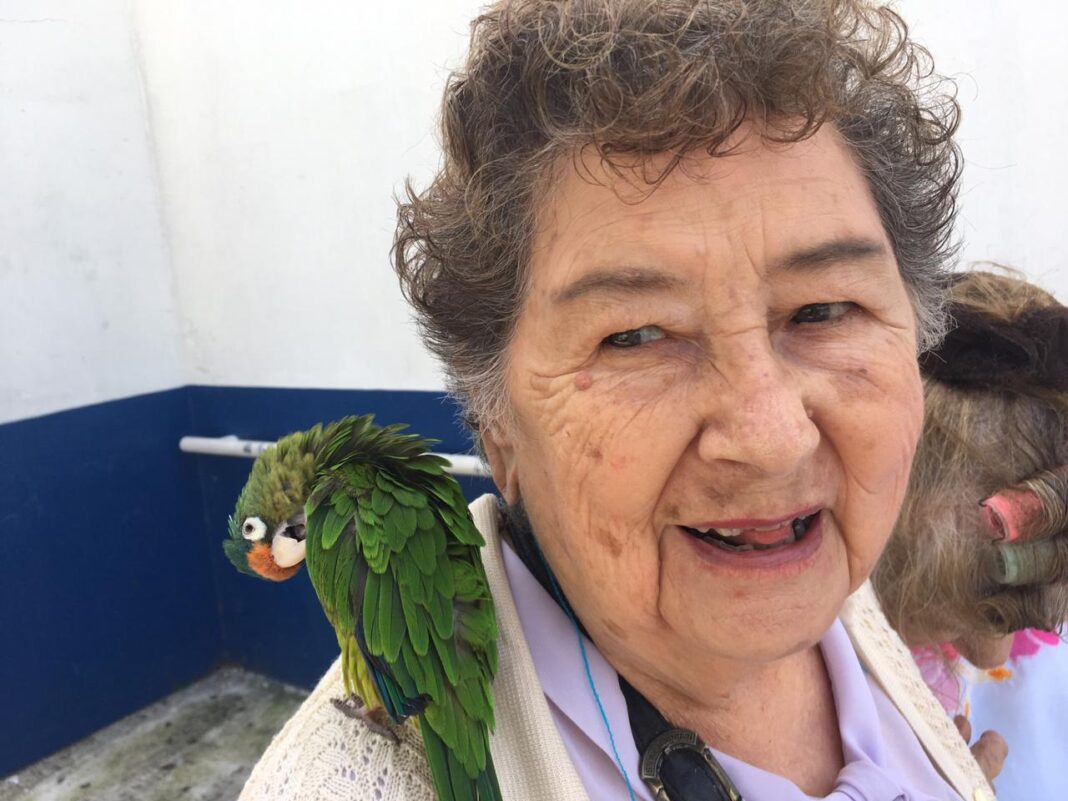 Pensionada camip-1