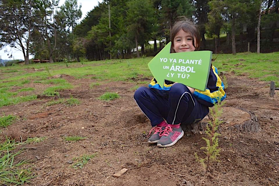 Dia Mundial de la Salud OMS IGSS 2022-3