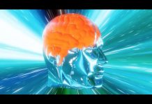 IGSS TV No 234: Profesionales del Seguro Social le explican como prevenir las enfermedades del cerebro
