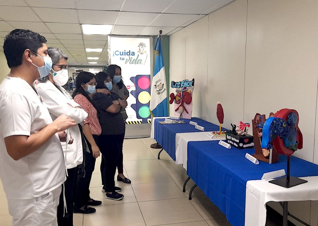 Concurso IGSS cuida tus rinones 2024-9