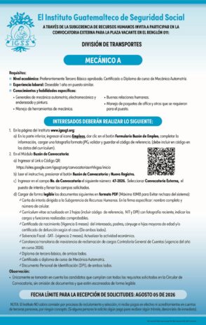 Convocatoria de la plaza: Mecánico para la División de Transportes