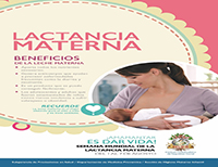 Afiche Lactancia Materna