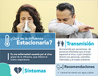 Afiche Influenza