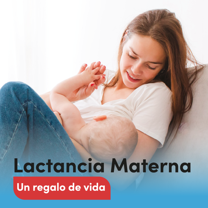 Portada del documento: Lactancia Materna, un Regalo de Vida