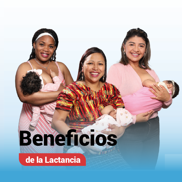 Portada del documento: Beneficios de la Lactancia