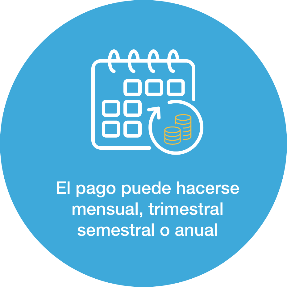 Ilustración de pago mensual en línea