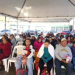 jornada otorrinolaringologia igss 2019-11