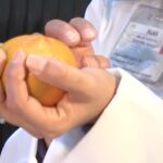 lonchera-nutritiva-igss-2019-9