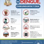 Enfermedades transmitidas por vectores prevencion igss 2019-01