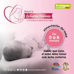 Afiche Semana Mundial de la Lactancia Materna 2020 IGSS-30