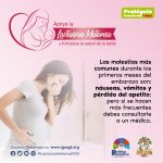 Afiche Semana Mundial de la Lactancia Materna 2020 IGSS-6