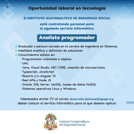 Oportunidad laboral en tecnología: Analista Programador