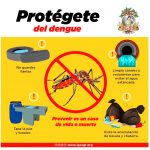 Prevencion Del Dengue IGSS 2022-2