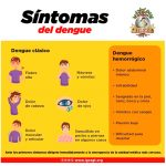 Prevencion Del Dengue IGSS 2022-3