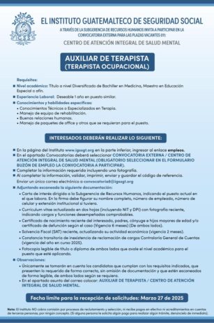 Convocatoria de la plaza: Auxiliar de Terapista para el Centro de Atención Integral de Salud Mental