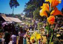 El Seguro Social llama a la prevención durante el asueto del Día de Todos los Santos