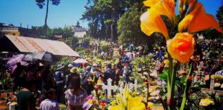 El Seguro Social llama a la prevención durante el asueto del Día de Todos los Santos