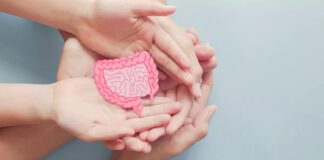 La flora intestinal, clave para la salud integral