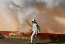 La malaria, una enfermedad fácil de prevenir