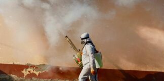 La malaria, una enfermedad fácil de prevenir