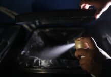 Un enemigo diminuto, el mosquito, el animal más letal para el ser humano