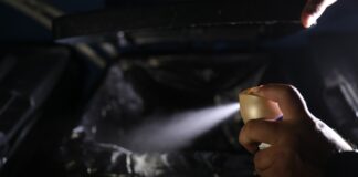 Un enemigo diminuto, el mosquito, el animal más letal para el ser humano