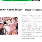 webinario adulto mayor igss-14