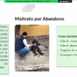 webinario adulto mayor igss-19