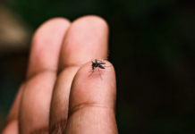El IGSS fortalece la prevención del dengue en “Ceibal”